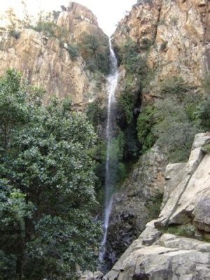 Rustenburg Kloof Hiking Trail: Unleashing Adventure on Foot amidst Nature's Splendor!