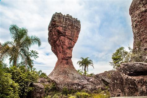 The Enchanted Maze: Unveiling the Mystical Beauty of Parque da Fazenda em Vila Velha